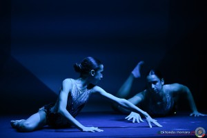 fgi divise freddy lanterna ph di tondo   ferraro 2577